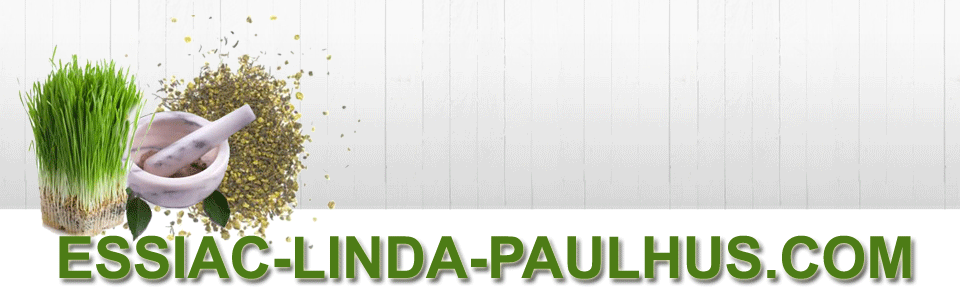 Header Graphic